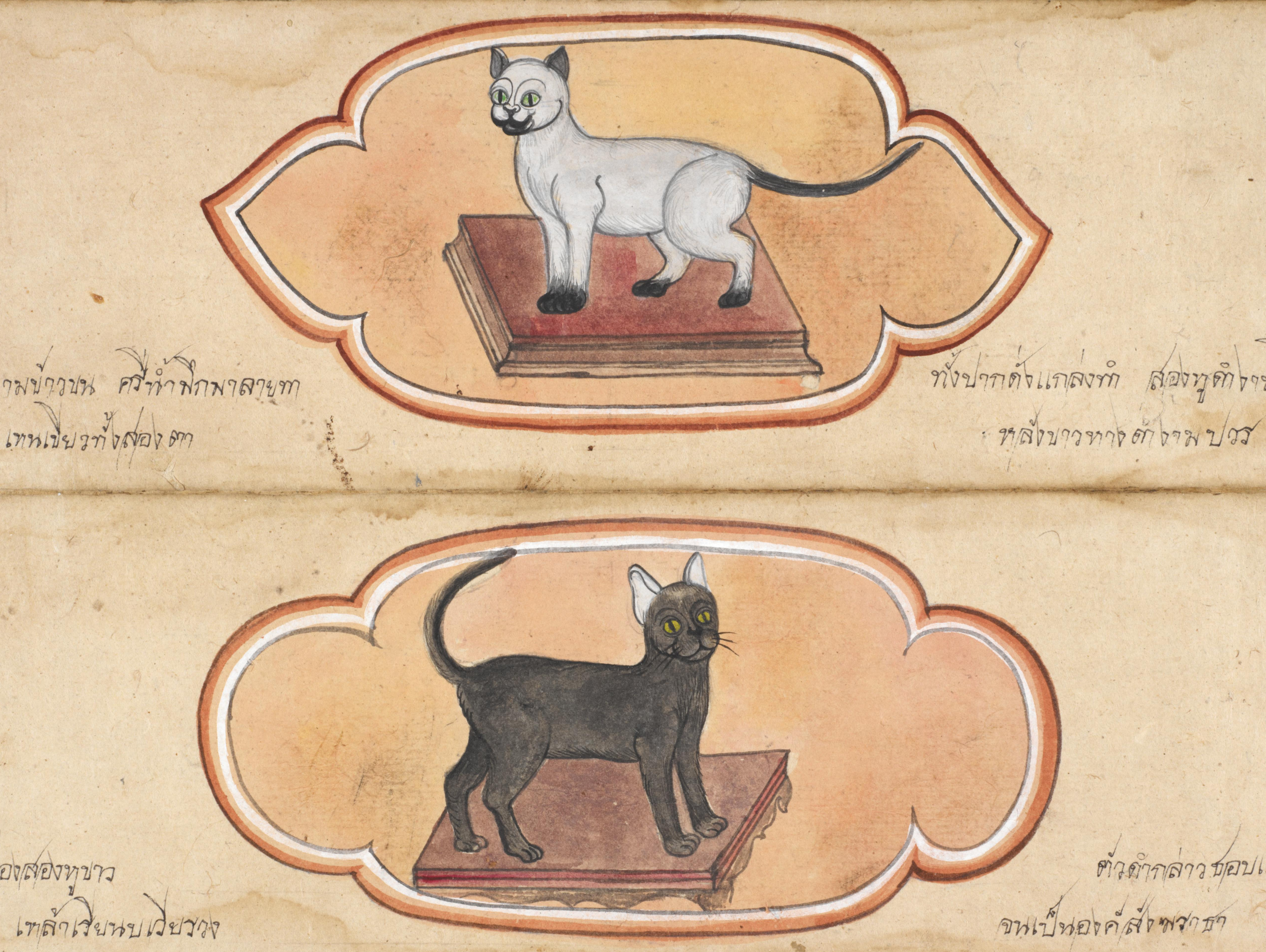 The Cat’s Maew: Thai Treatise on Auspicious Felines (19th Century)