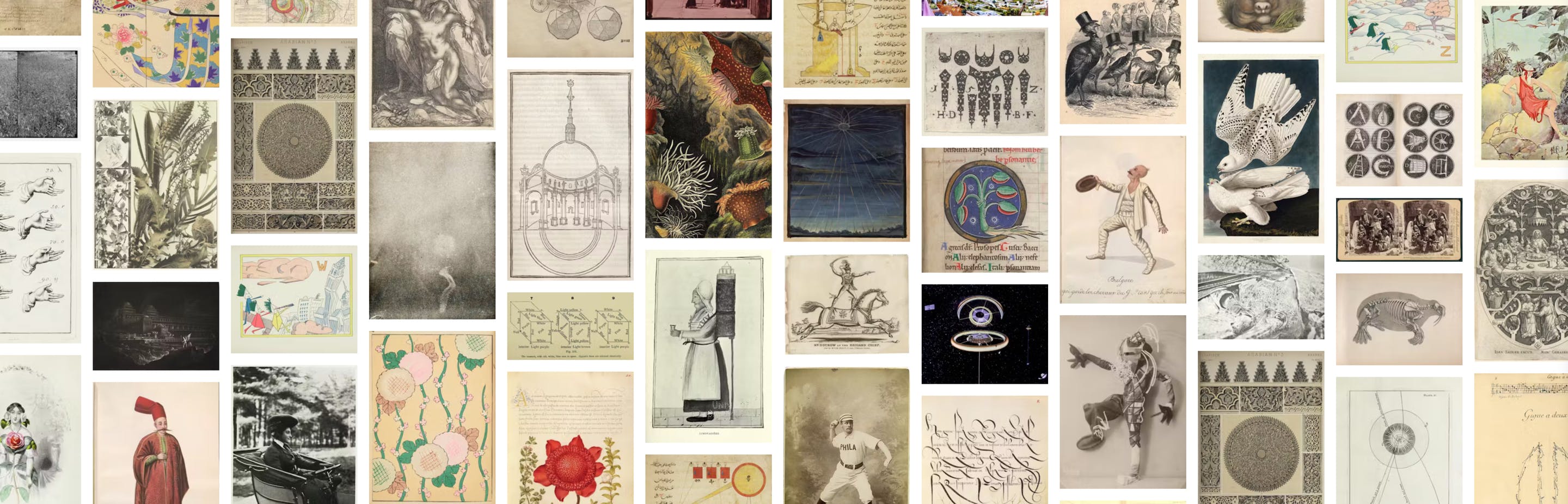 Grid of images from the PDIA
