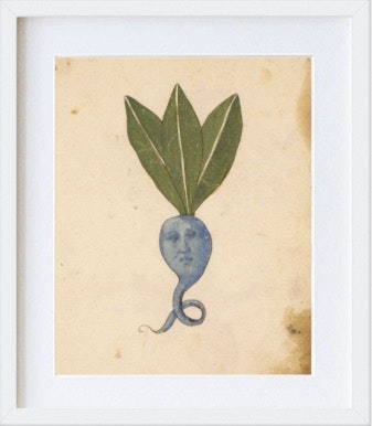 Blue Root print