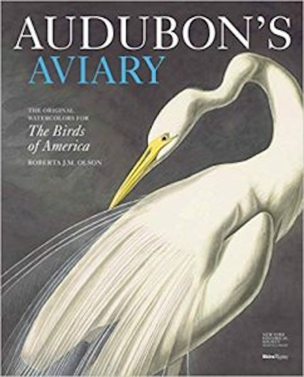 Audubon’s Aviary: The Original Watercolors for The Birds of America cover