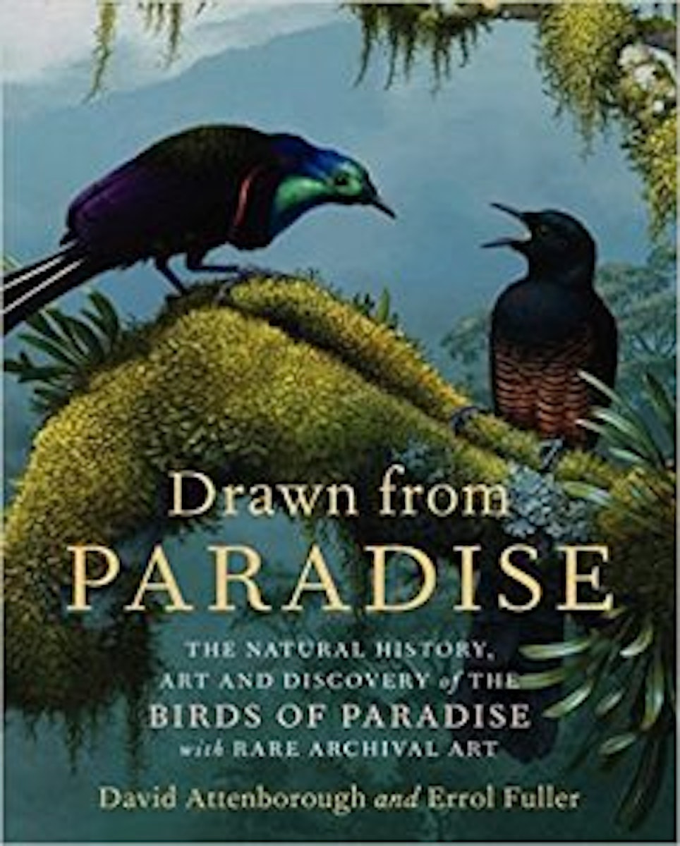 Drawn from Paradise: The Natural History, Art and Discovery of the Birds of Paradise with Rare Archival Art cover