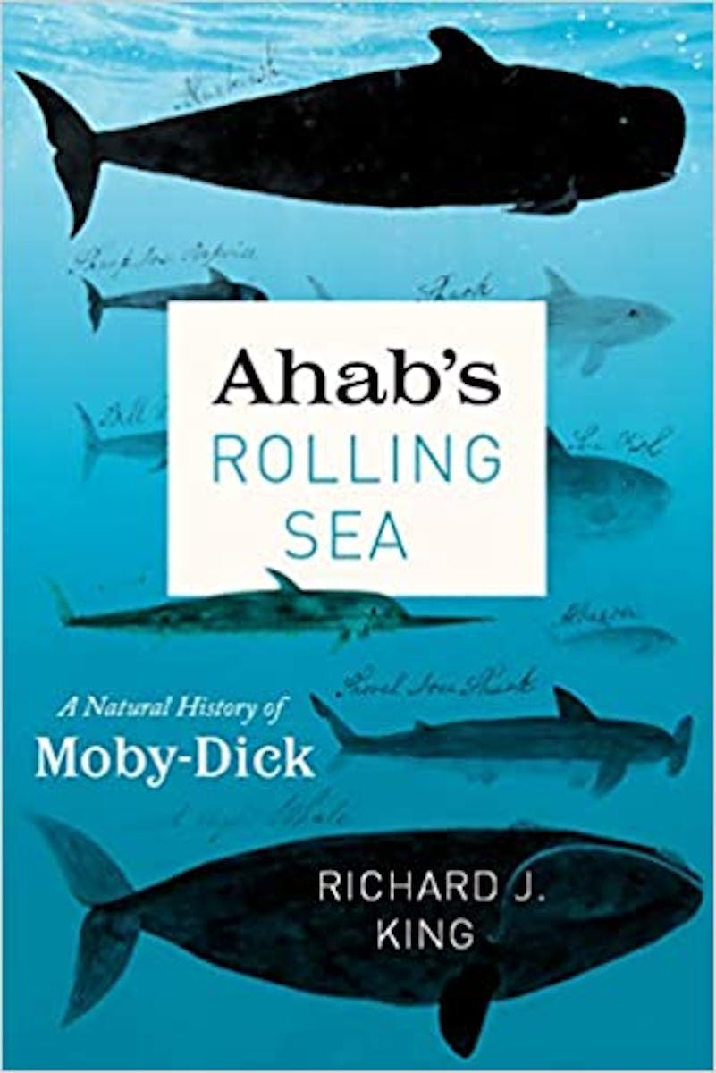 Ahab’s Rolling Sea: A Natural History of “Moby-Dick” cover