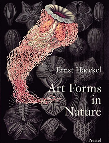 Art Forms in Nature: The Prints of Ernst Haeckel cover