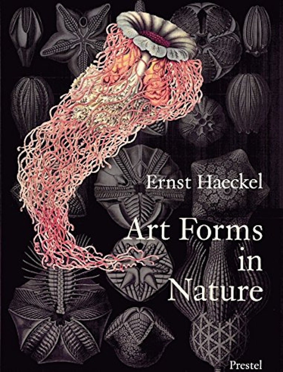 Art Forms in Nature: The Prints of Ernst Haeckel cover