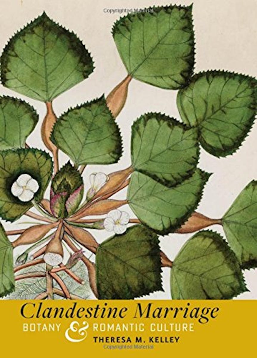 Clandestine Marriage: Botany and Romantic Culture cover