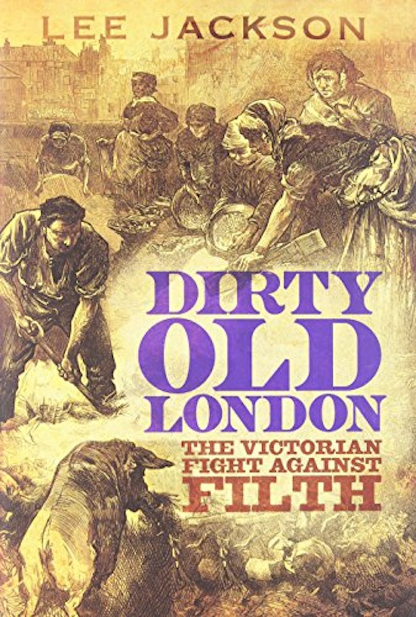 Dirty Old London: The Victorian Fight Against Filth cover