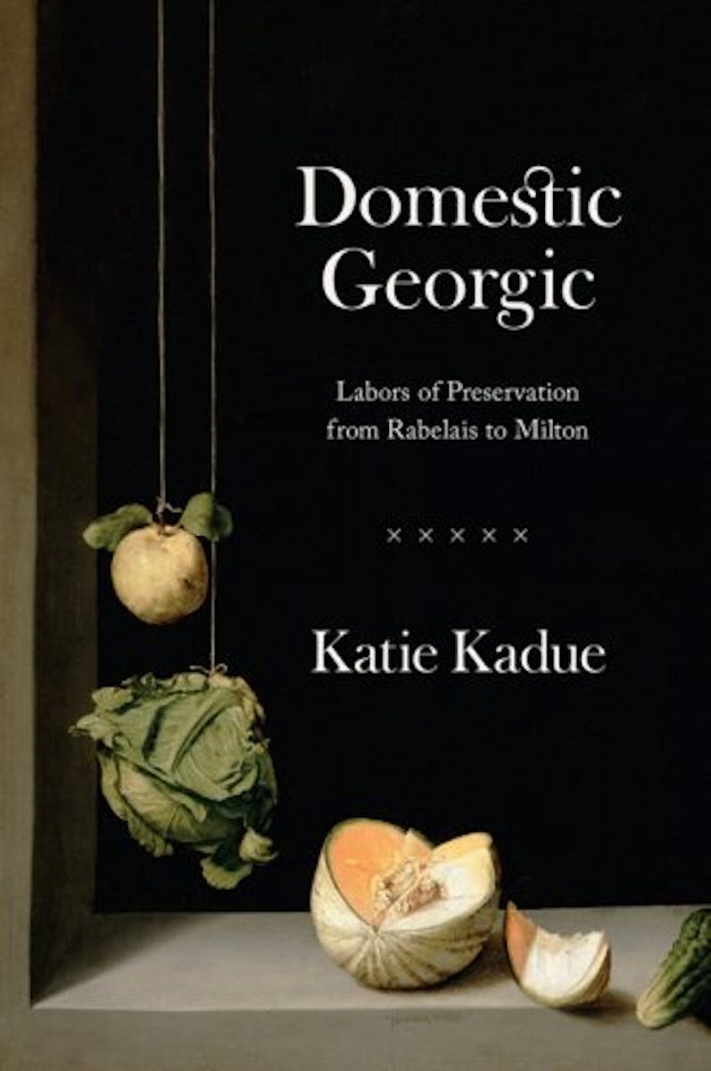 Domestic Georgic: Labors of Preservation from Rabelais to Milton cover