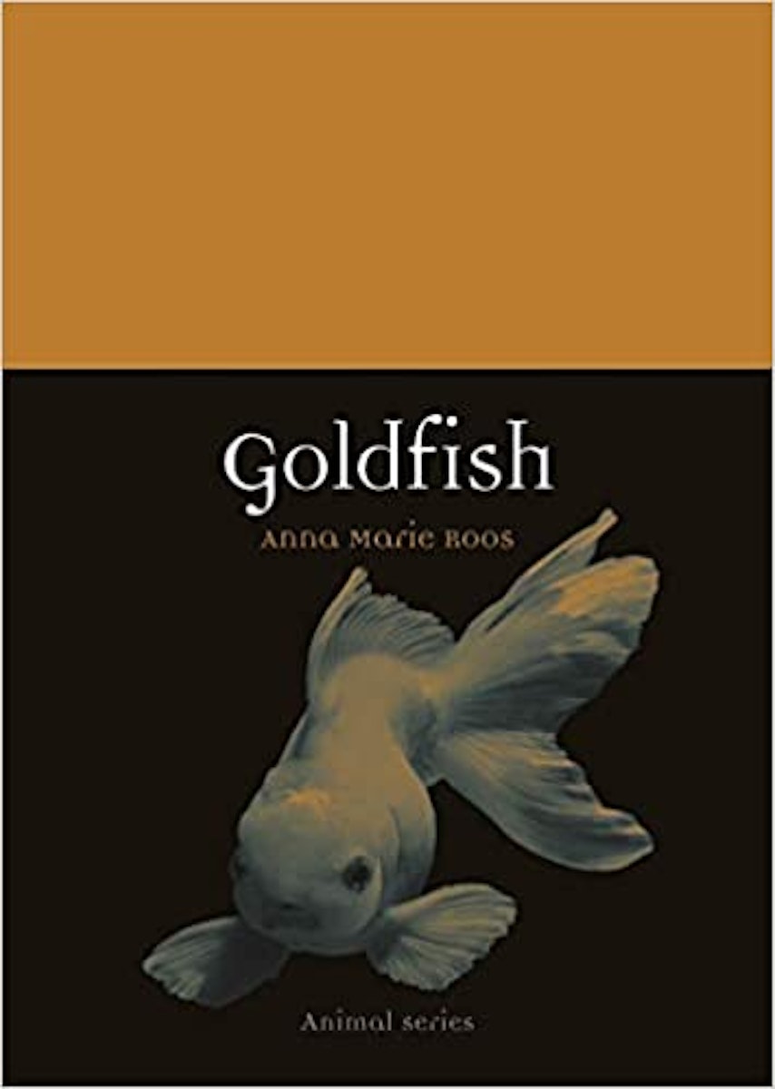 Goldfish cover