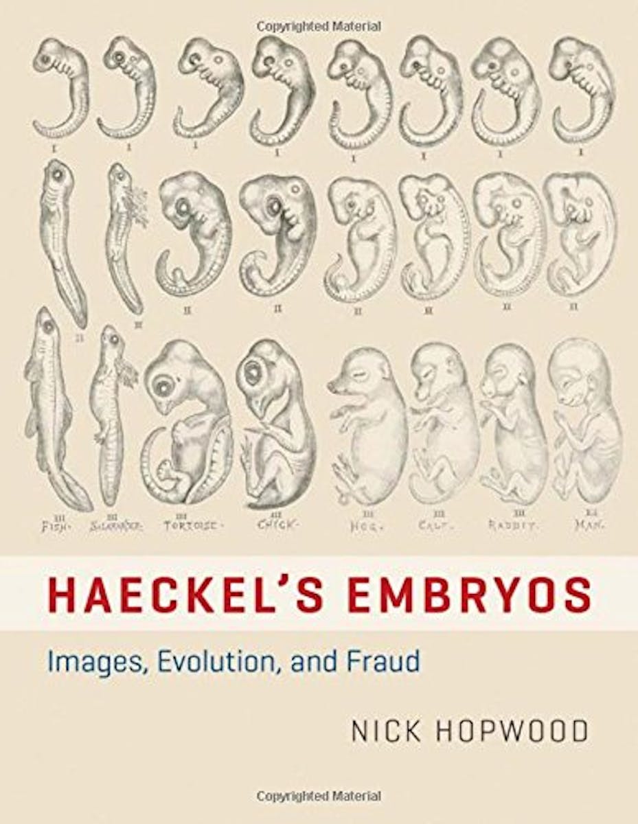 Haeckel's Embryos: Images, Evolution, and Fraud cover