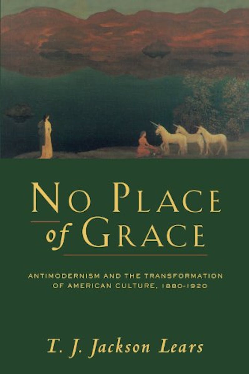 No Place of Grace: Antimodernism and the Transformation of American Culture cover