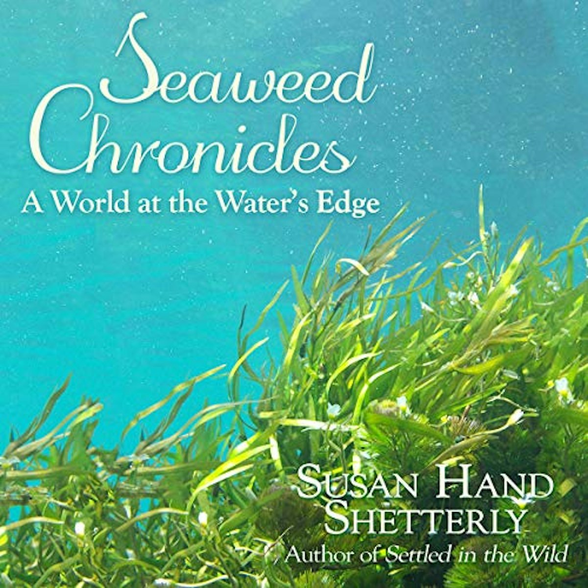 Seaweed Chronicles: A World at the Water’s Edge cover