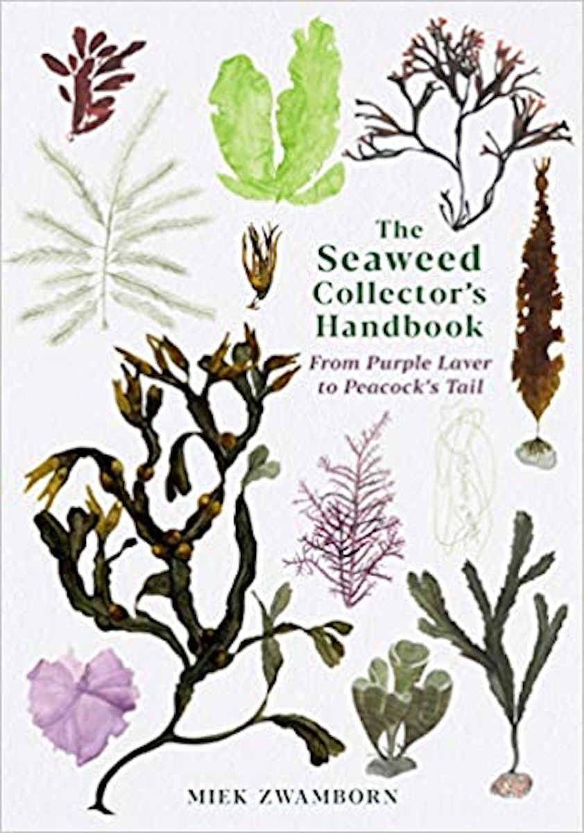 The Seaweed Collector’s Handbook: From Purple Laver to Peacock’s Tail cover