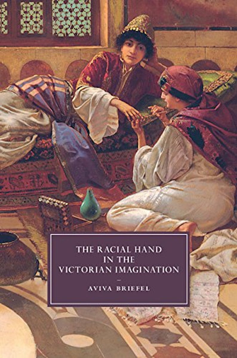 The Racial Hand in the Victorian Imagination cover