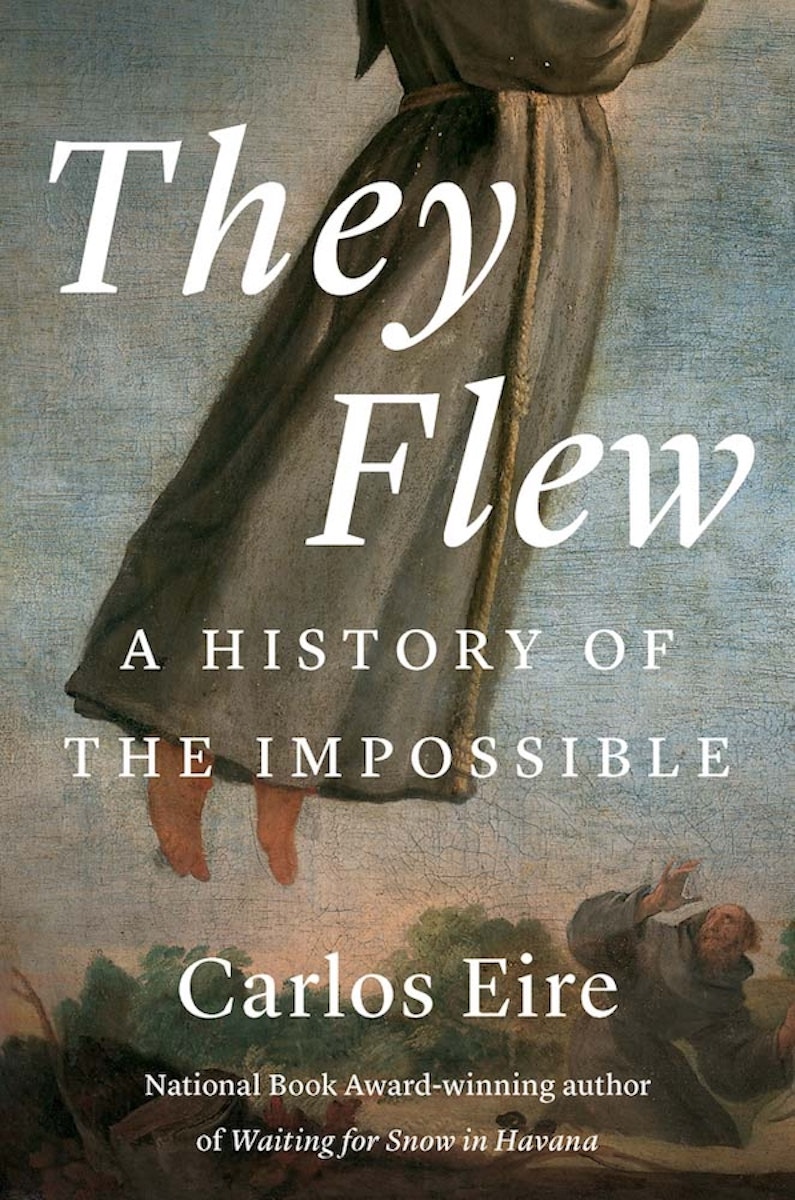 They Flew: A History of the Impossible cover