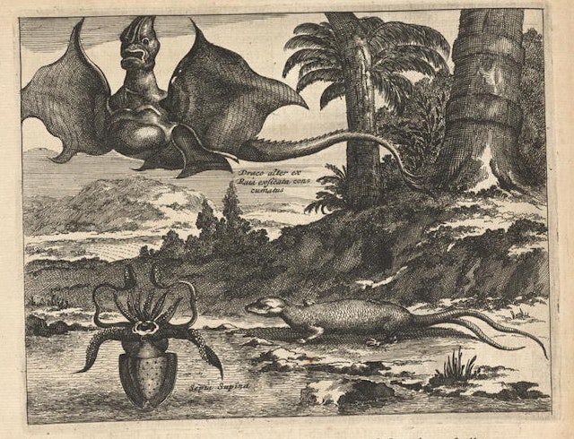 Arnoldus Montanus’ New and Unknown World (1671)