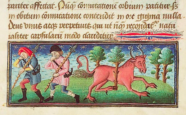 Medieval image of bonnacon