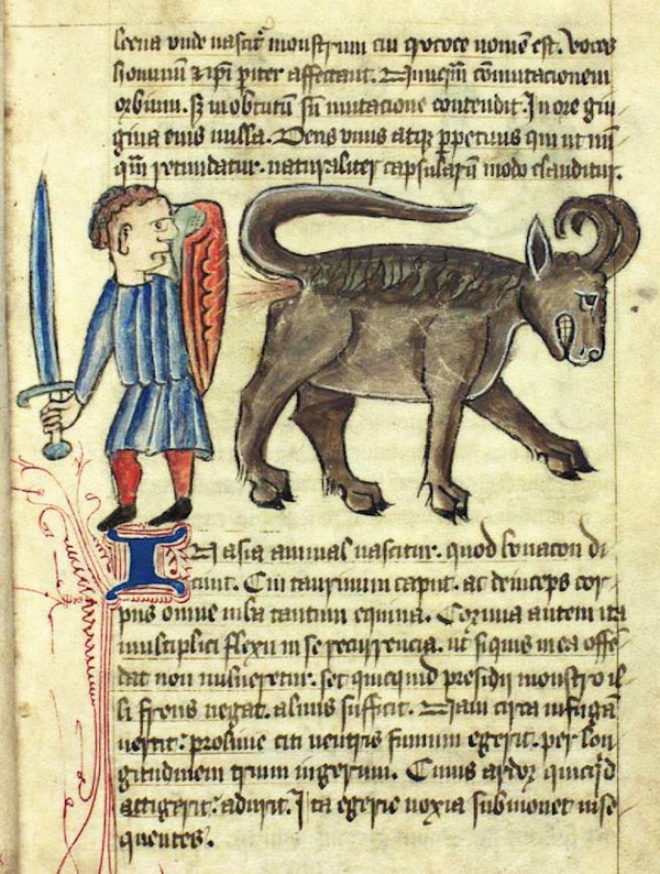 Medieval image of bonnacon