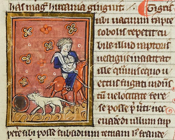 Medieval image of bonnacon