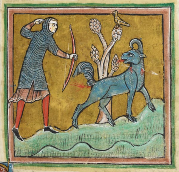 Medieval image of bonnacon