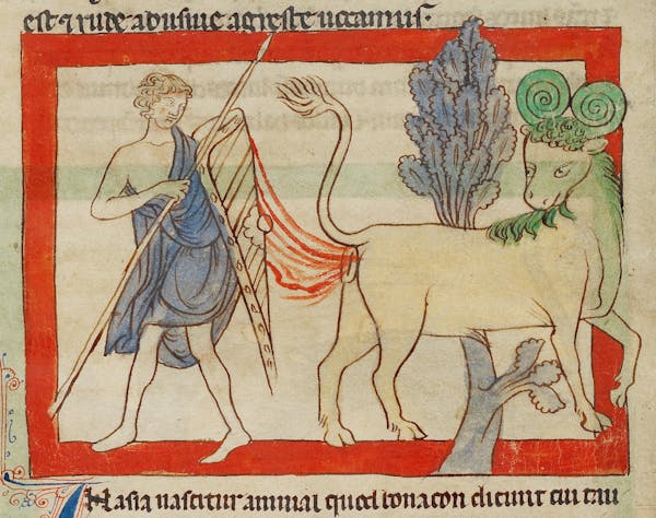 Medieval image of bonnacon