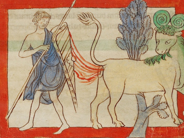 Medieval manuscript illustration of a mythical creature, the bonnacon, with curled horns and a horse-like body, being attacked by a human figure with a spear and defending itself with excrement