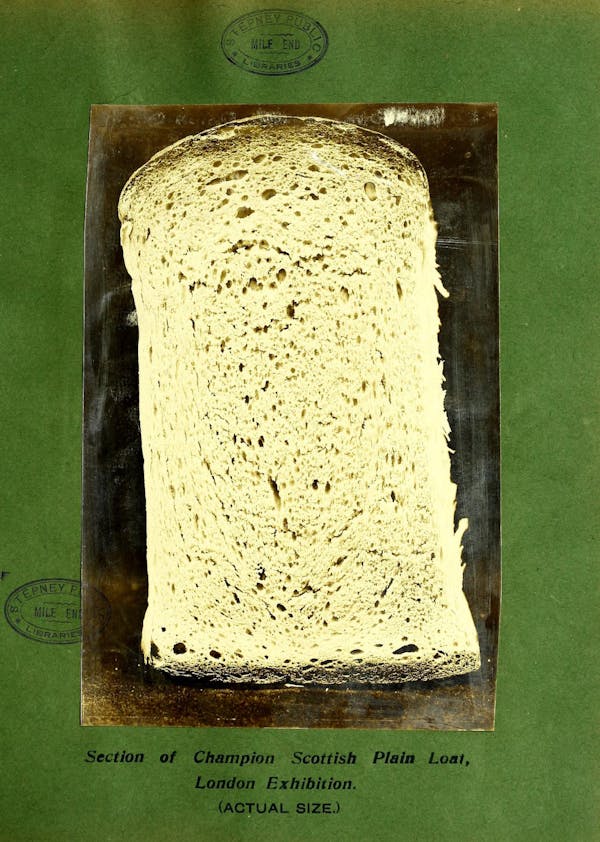 Illustration of bread