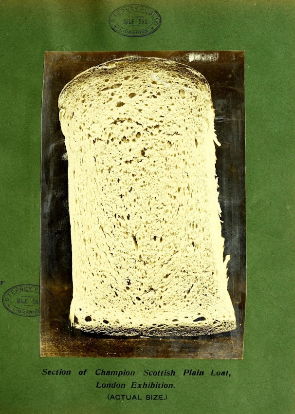 silver bromide print of bread