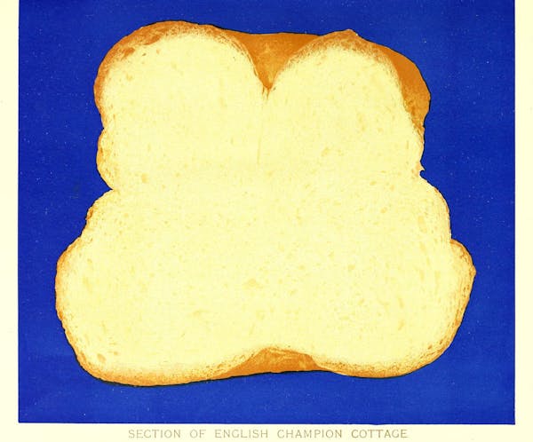 Illustration of bread