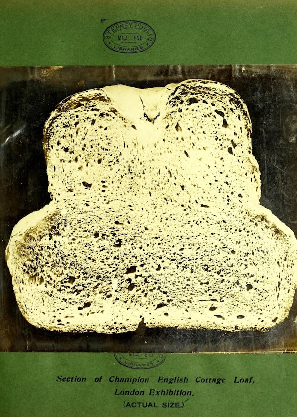 Illustration of bread