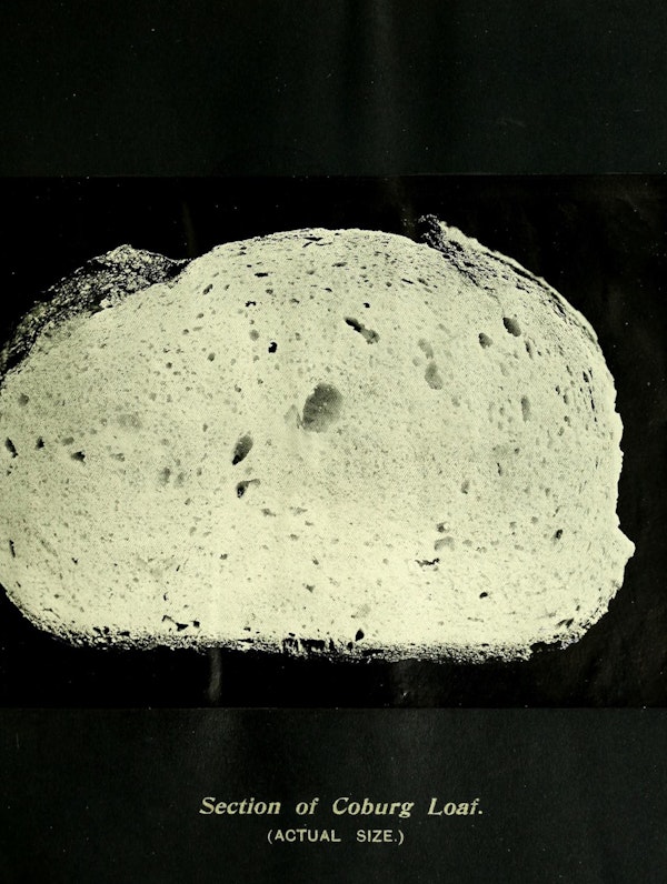 Illustration of bread