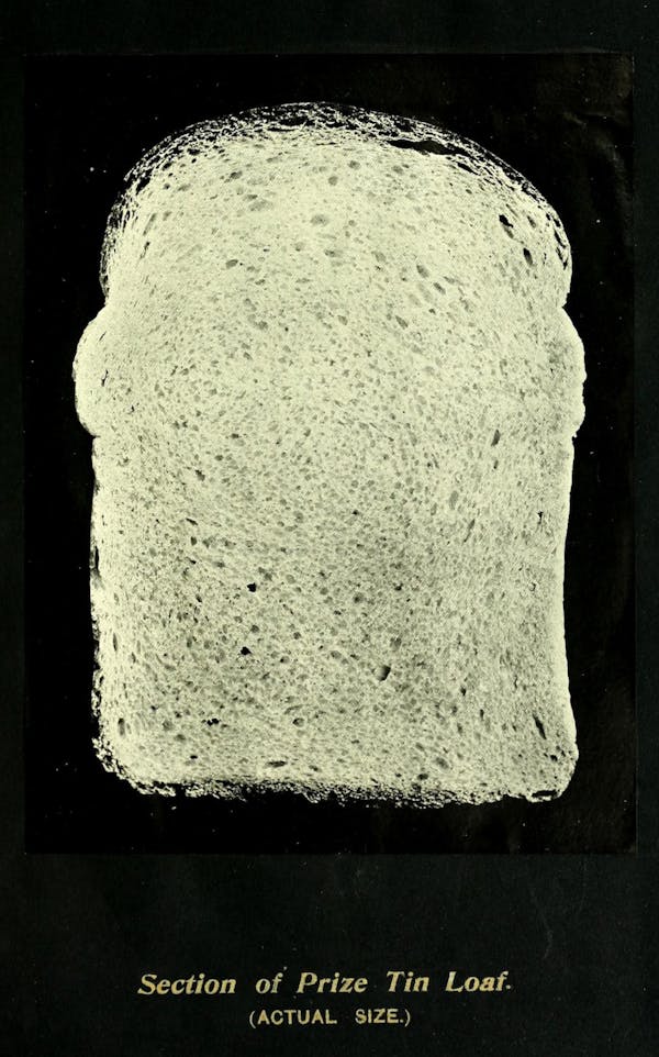 Illustration of bread