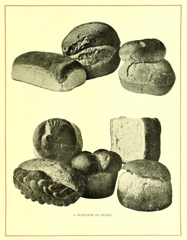 Illustration of bread