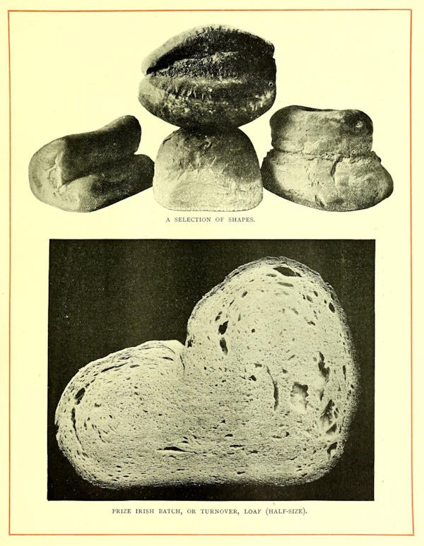 Illustration of bread