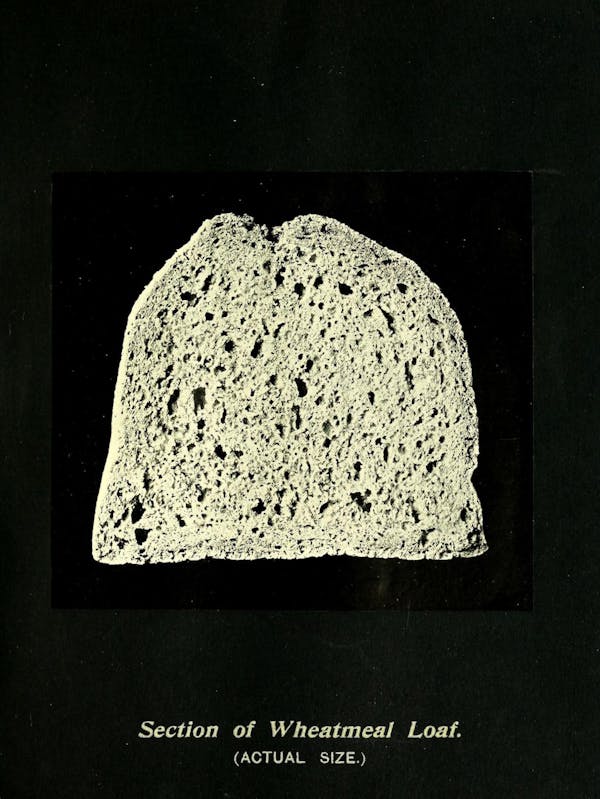 Illustration of bread