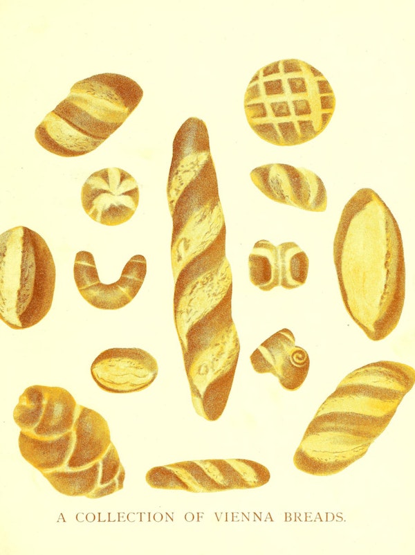 “Illustration of bread”