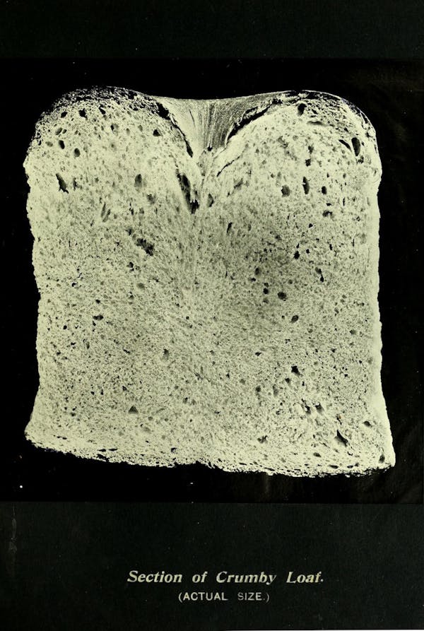 Illustration of bread