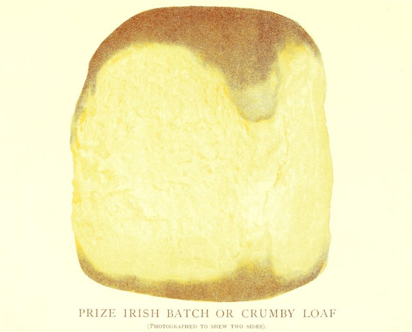 Illustration of bread