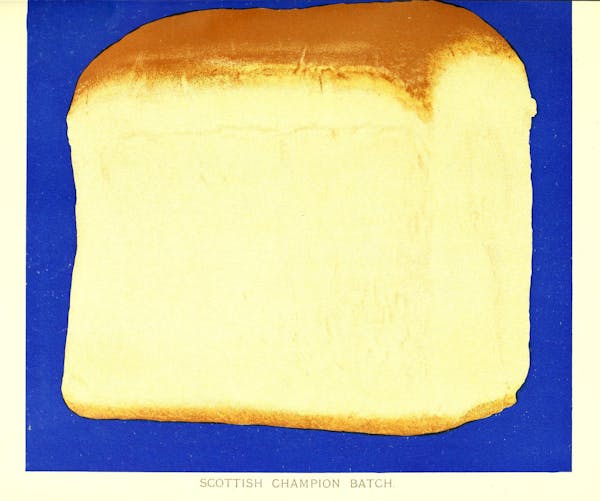 Illustration of bread