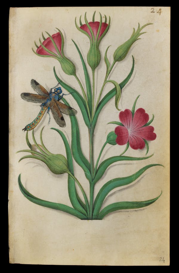 Painting of flowers