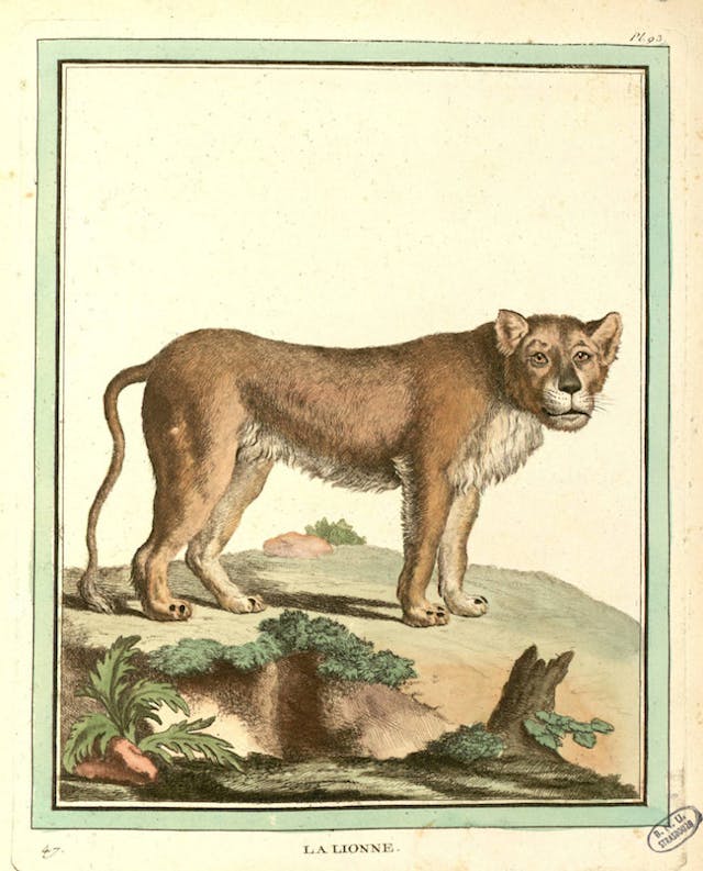 Buffon and de Sève’s Quadrupeds (1754)