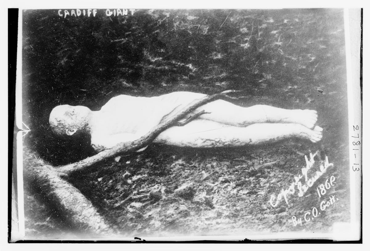 Photograph of supine giant