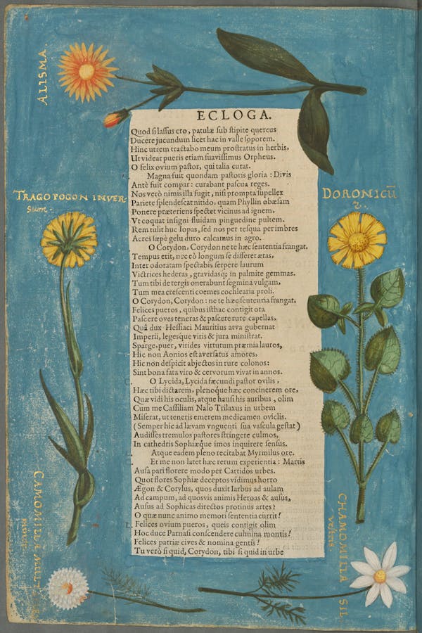 Illustration of the commemorative events held for Elisabeth of Hessen’s christening.