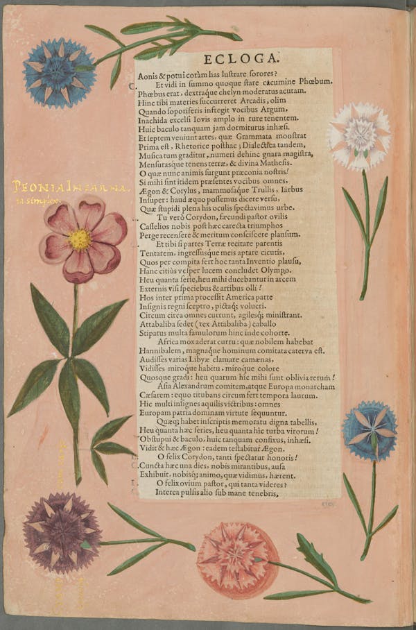 Illustration of the commemorative events held for Elisabeth of Hessen’s christening.