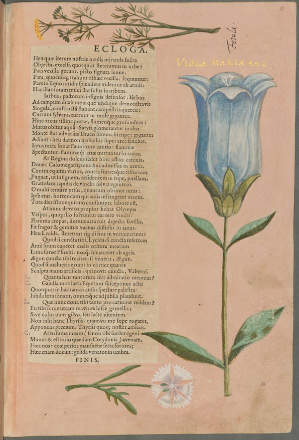 Illustration of the commemorative events held for Elisabeth of Hessen’s christening.