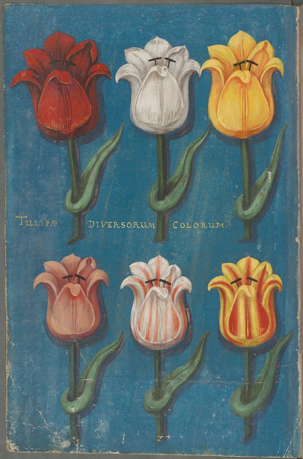 Illustration of the commemorative events held for Elisabeth of Hessen’s christening.
