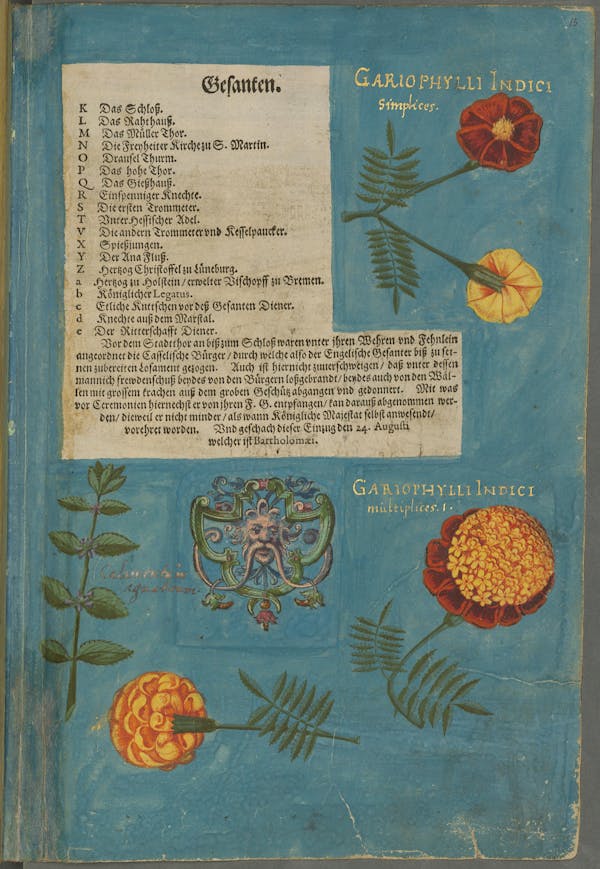 Illustration of the commemorative events held for Elisabeth of Hessen’s christening.