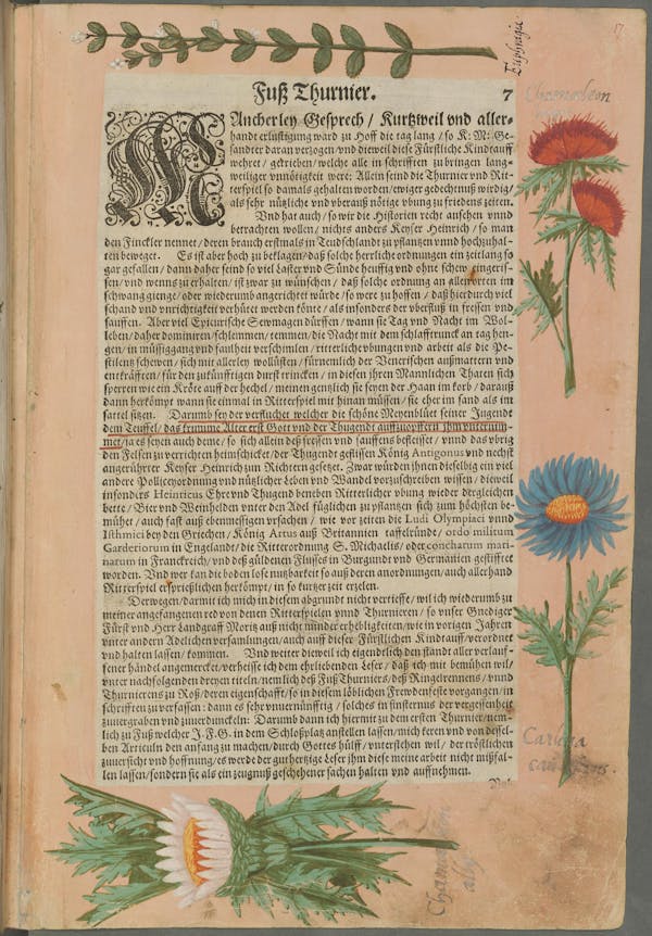 Illustration of the commemorative events held for Elisabeth of Hessen’s christening.