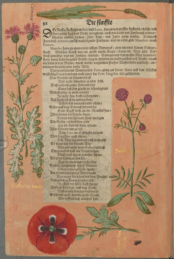 Illustration of the commemorative events held for Elisabeth of Hessen’s christening.