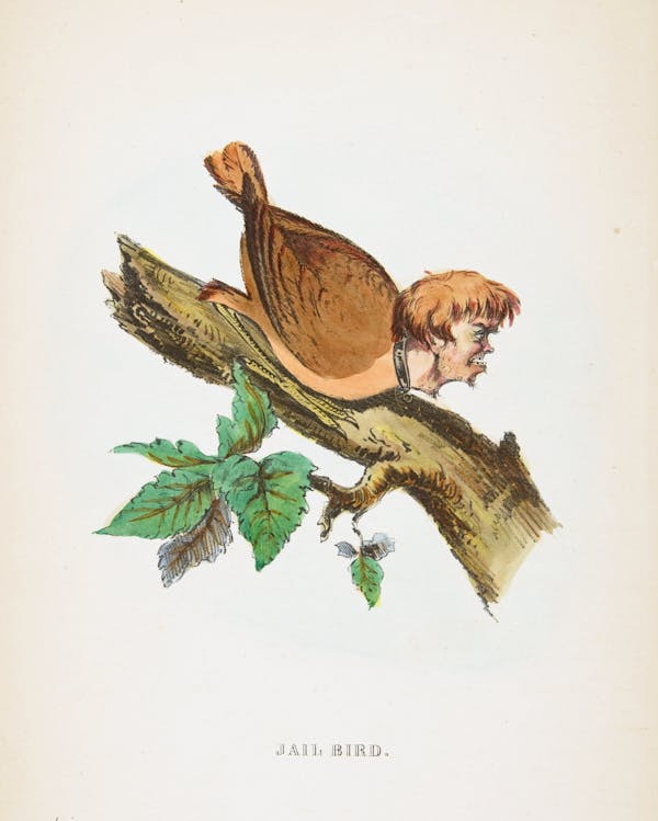 Comic illustration by H. L. Stephens of human-animal hybrid