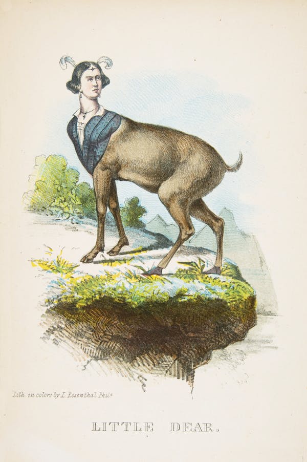 Comic illustration by H. L. Stephens of human-animal hybrid